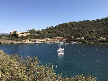 Sailboats in sea against clear sky