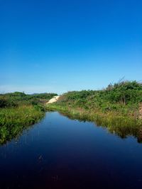 Scenic view of lake against clear blue sky