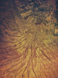 Full frame shot of tiled floor