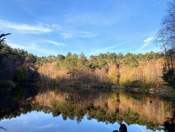 Reflection of trees in lake against sky