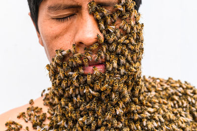 Man's face covered by bees
