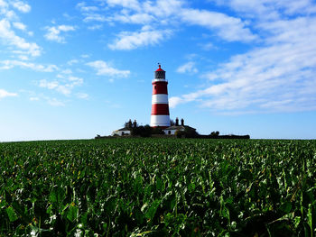 Lighthouse on field against sky