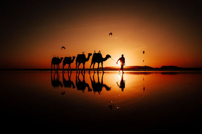 Silhouette people at beach against sky during sunset camel caravan