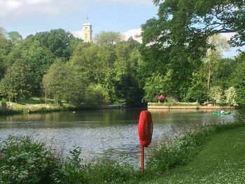 Reflection of trees in lake