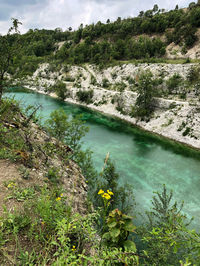 High angle view of river amidst trees in forest