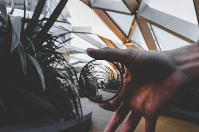 Close-up of hand holding mirror