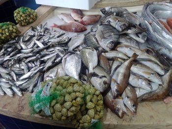 High angle view of fish for sale at market