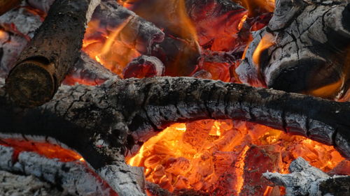 Close-up of bonfire on wood