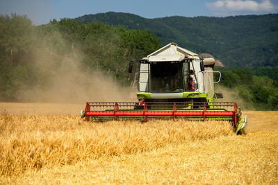 Combine harvester at work during harvest. wheat supply shortage, global food crisis, stockpiling.