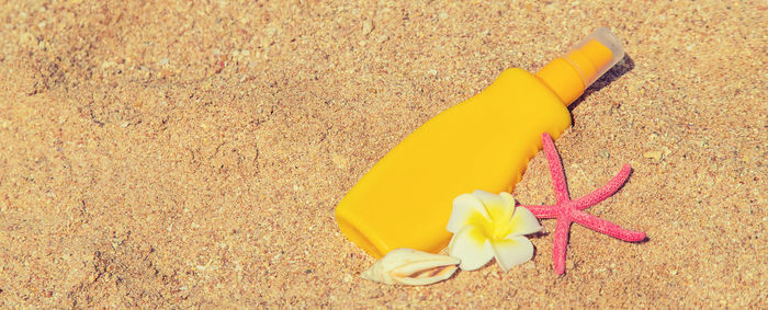 High angle view of yellow flower on sand