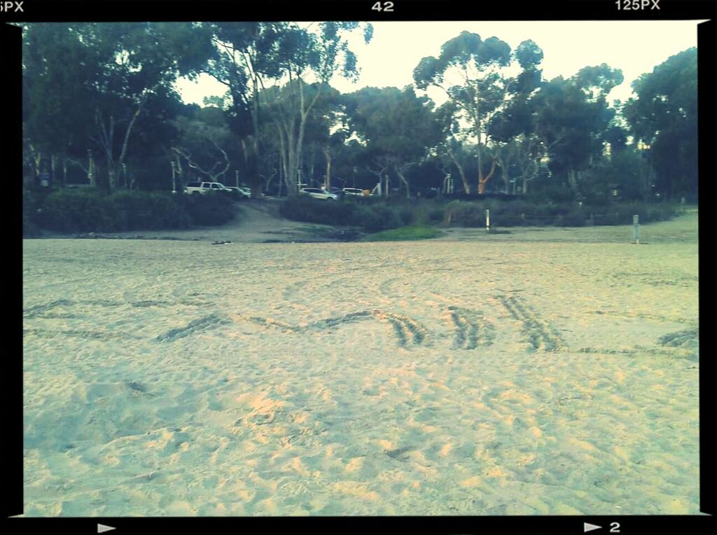 Beach in Cali