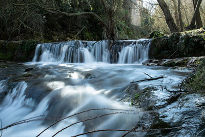 Scenic view of waterfall in forest