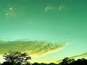 Low angle view of trees against sky during sunset