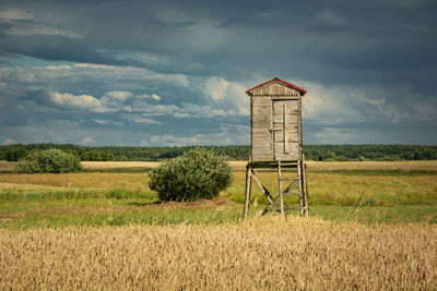 Observation booth with ladder in the grain, horizon and dark clouds on the sky