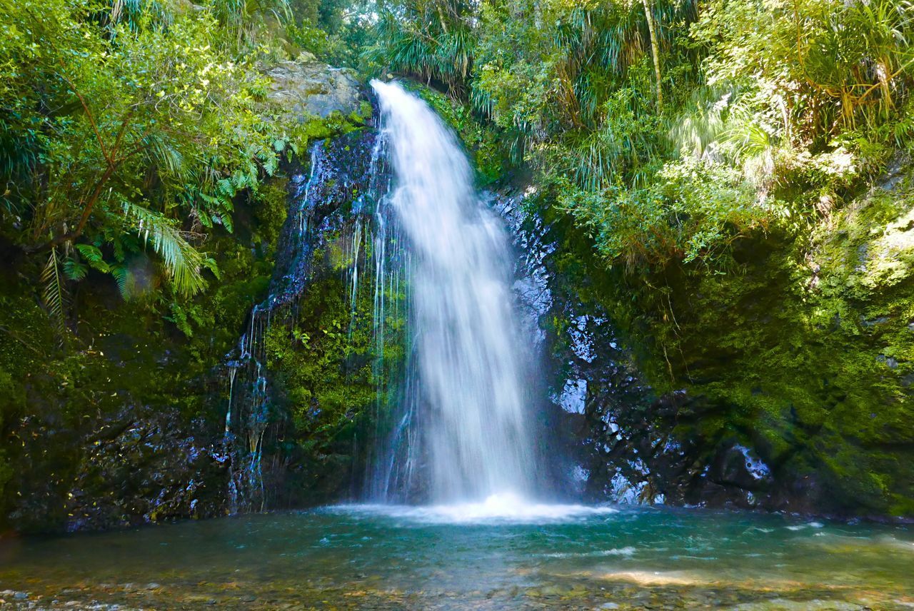 WATERFALL IN FOREST