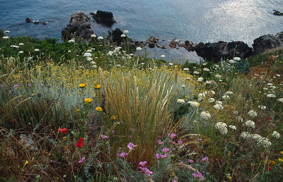 Scenic view of sea by cliff