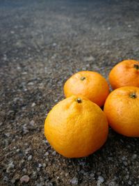 High angle view of orange fruit on road