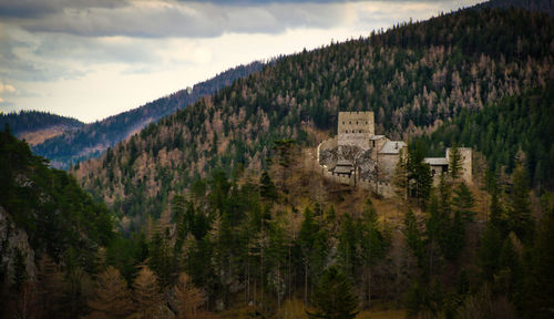 Panoramic shot of trees and buildings against sky