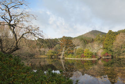 Scenic view of lake by trees against sky