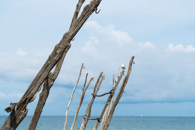 Low angle view of wooden post on beach against sky