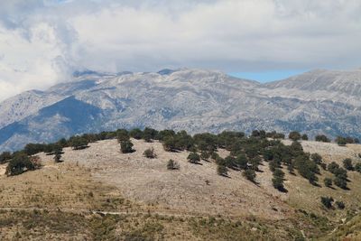 mountain