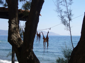 Scenic view of tree by sea against sky