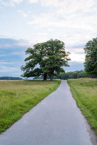 Countryside road