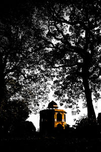 tree