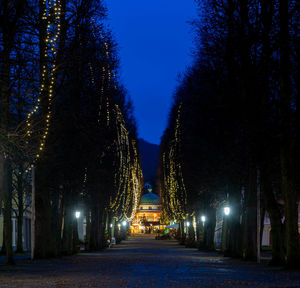 Illuminated street lights at night