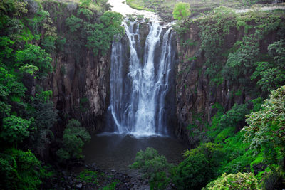 Scenic view of waterfall in forest