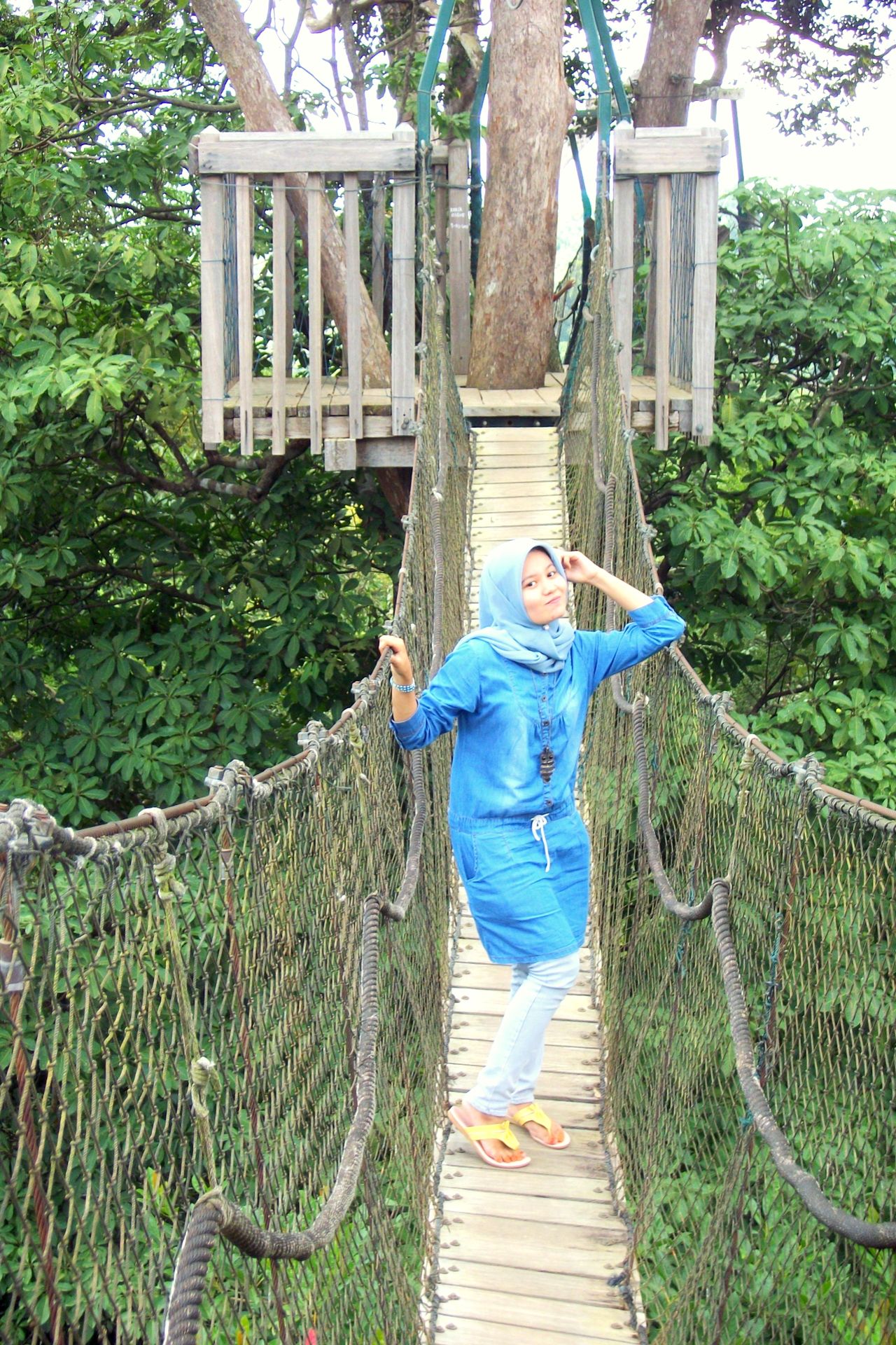 Canopy Bridge,  Bukit Bengkirai