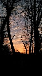 Silhouette trees in forest against sky