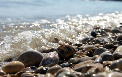 Close-up of stones on beach