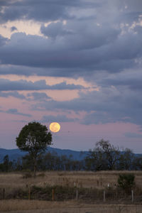 Scenic view of field against sky during sunset