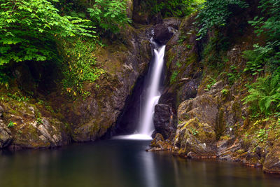 Scenic view of waterfall in forest