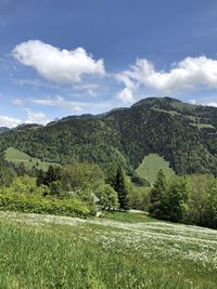 Scenic view of field against sky