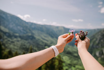 Cropped image of hand holding red flowering plant against mountain