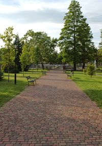 Footpath amidst trees in park