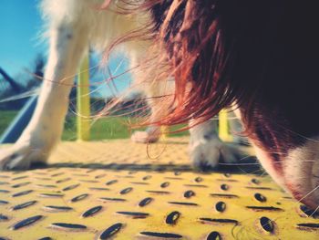 Close-up of woman by cat outdoors