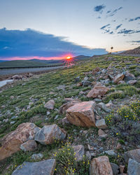 Rocks on field by road during sunset