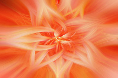 Close up of orange