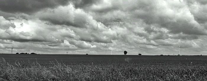 Scenic view of landscape against cloudy sky