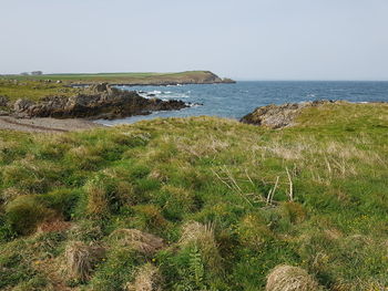 Scenic view of sea against clear sky