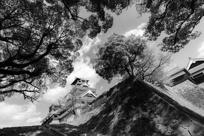 Low angle view of trees and buildings against sky