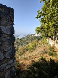 Scenic view of land against clear sky