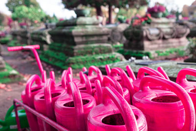 Close-up of pink temple