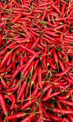 Full frame shot of red chili peppers for sale