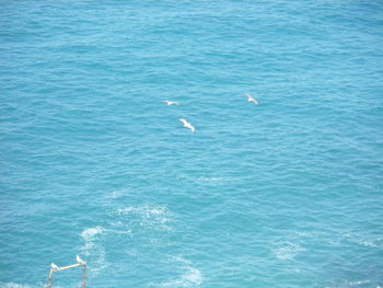 High angle view of birds flying over sea