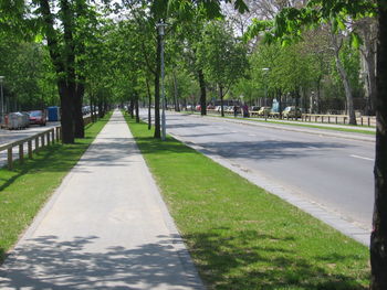 Road amidst trees against sky