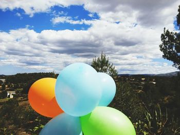 Close-up of balloons against trees against blue sky